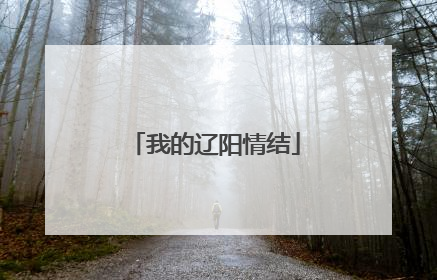 我的辽阳情结
