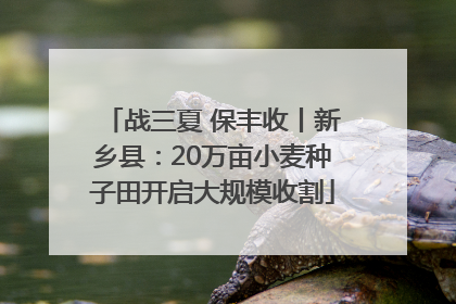 战三夏 保丰收丨新乡县：20万亩小麦种子田开启大规模收割