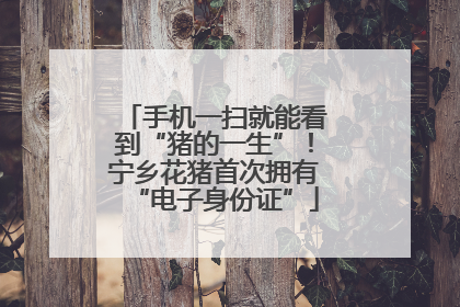 手机一扫就能看到“猪的一生”！宁乡花猪首次拥有“电子身份证”
