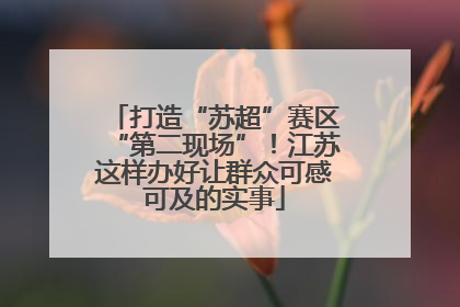 打造“苏超”赛区“第二现场”！江苏这样办好让群众可感可及的实事
