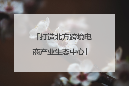 打造北方跨境电商产业生态中心