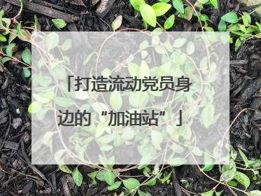 打造流动党员身边的“加油站”