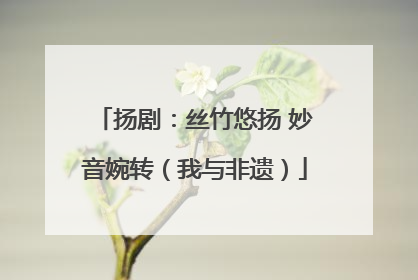 扬剧：丝竹悠扬 妙音婉转（我与非遗）