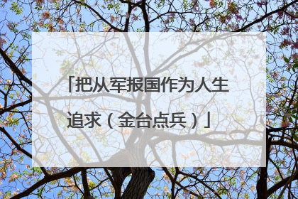 把从军报国作为人生追求（金台点兵）