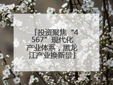 投资聚焦“4567”现代化产业体系，黑龙江产业换新景