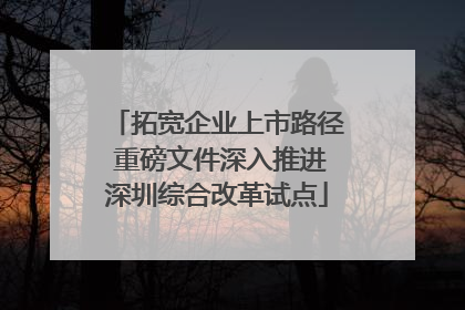 拓宽企业上市路径 重磅文件深入推进深圳综合改革试点