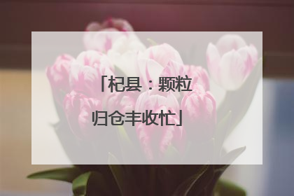 杞县：颗粒归仓丰收忙