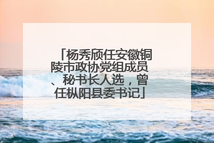 杨秀颀任安徽铜陵市政协党组成员、秘书长人选，曾任枞阳县委书记