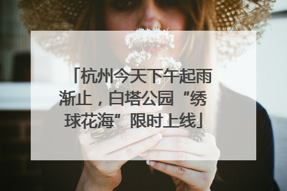 杭州今天下午起雨渐止，白塔公园“绣球花海”限时上线