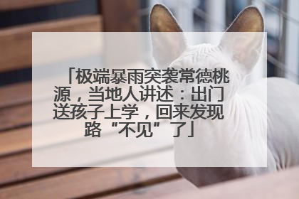 极端暴雨突袭常德桃源，当地人讲述：出门送孩子上学，回来发现路“不见”了