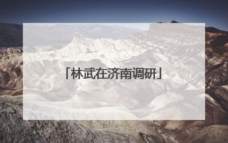 林武在济南调研