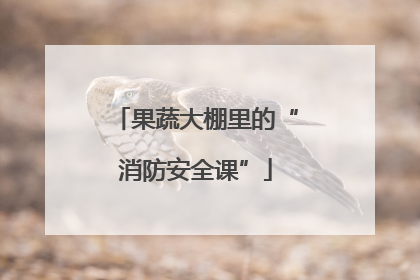 果蔬大棚里的“消防安全课”
