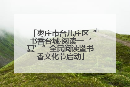 枣庄市台儿庄区“书香台城·阅读一‘夏’”全民阅读暨书香文化节启动