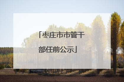 枣庄市市管干部任前公示