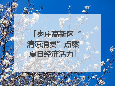 枣庄高新区“清凉消费”点燃夏日经济活力