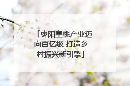 枣阳皇桃产业迈向百亿级 打造乡村振兴新引擎