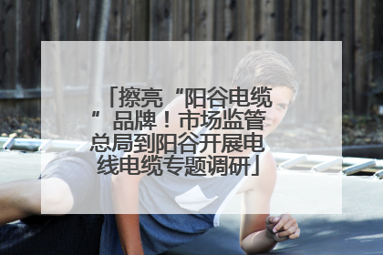 擦亮“阳谷电缆”品牌！市场监管总局到阳谷开展电线电缆专题调研