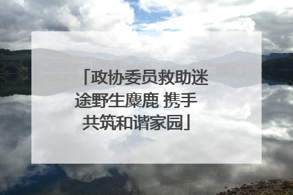 政协委员救助迷途野生麋鹿 携手共筑和谐家园