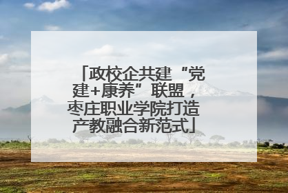 政校企共建“党建+康养”联盟，枣庄职业学院打造产教融合新范式
