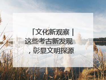 文化新观察｜这些考古新发现，彰显文明探源中的科技力量