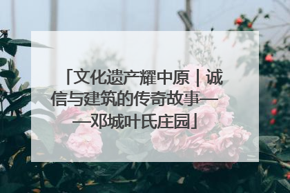 文化遗产耀中原｜诚信与建筑的传奇故事——邓城叶氏庄园