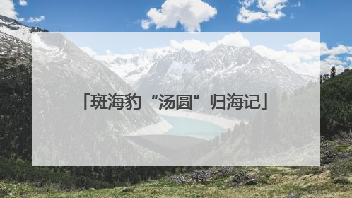 斑海豹“汤圆”归海记