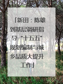 新田：陈雄到基层调研指导“十五五”规划编制与城乡品质大提升工作