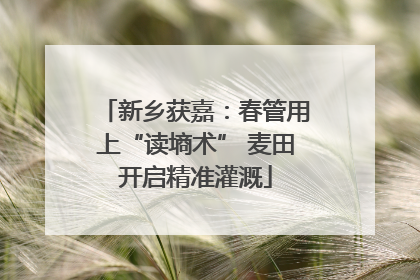 新乡获嘉：春管用上“读墒术” 麦田开启精准灌溉