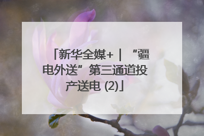 新华全媒+｜“疆电外送”第三通道投产送电 (2)