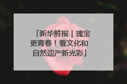 新华鲜报｜瑰宝更青春！看文化和自然遗产新光彩