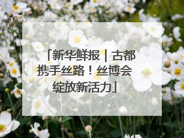 新华鲜报｜古都携手丝路！丝博会绽放新活力