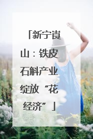 新宁崀山：铁皮石斛产业绽放“花经济”