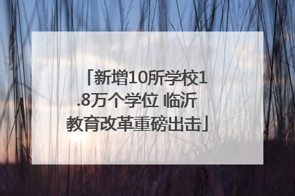 新增10所学校1.8万个学位 临沂教育改革重磅出击