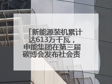 新能源装机累计达613万千瓦，申能集团在第三届碳博会发布社会责任报告