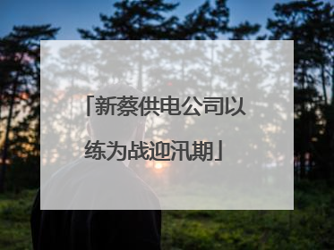 新蔡供电公司以练为战迎汛期