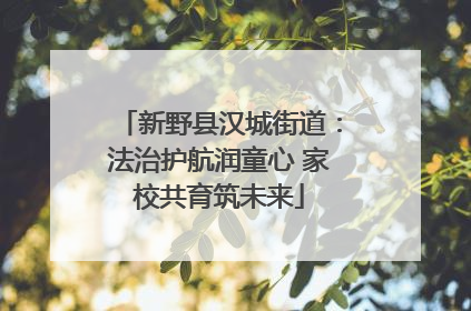 新野县汉城街道：法治护航润童心 家校共育筑未来