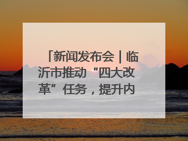 新闻发布会｜临沂市推动“四大改革”任务，提升内部审计监督效能