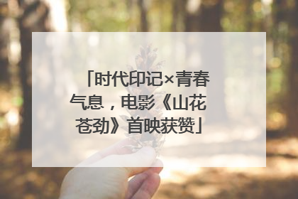 时代印记×青春气息，电影《山花苍劲》首映获赞