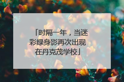 时隔一年，当迷彩绿身影再次出现在丹克茂学校