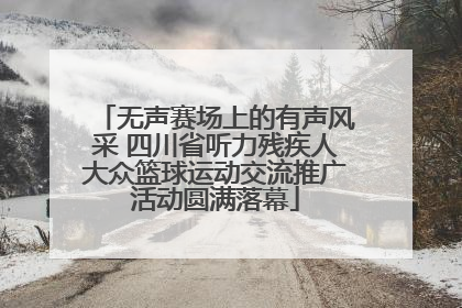 无声赛场上的有声风采 四川省听力残疾人大众篮球运动交流推广活动圆满落幕
