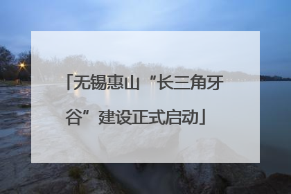 无锡惠山“长三角牙谷”建设正式启动