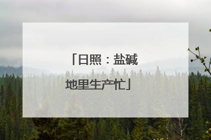 日照：盐碱地里生产忙