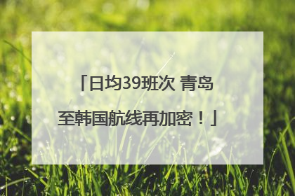 日均39班次 青岛至韩国航线再加密！