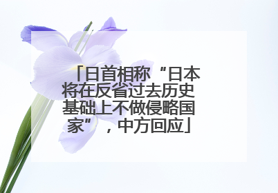 日首相称“日本将在反省过去历史基础上不做侵略国家”，中方回应
