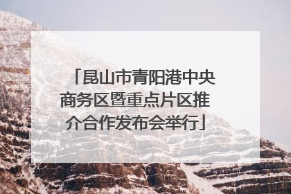 昆山市青阳港中央商务区暨重点片区推介合作发布会举行