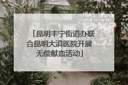 昆明丰宁街道办联合昆明大滇医院开展无偿献血活动
