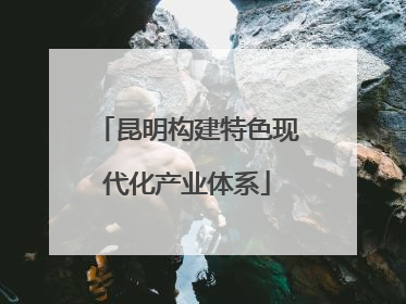 昆明构建特色现代化产业体系