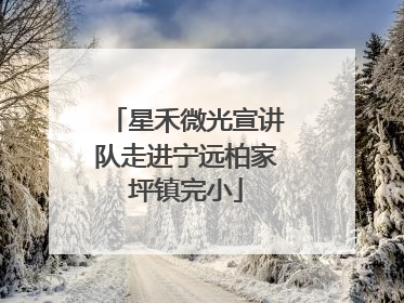 星禾微光宣讲队走进宁远柏家坪镇完小