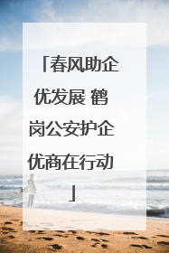 春风助企优发展 鹤岗公安护企优商在行动