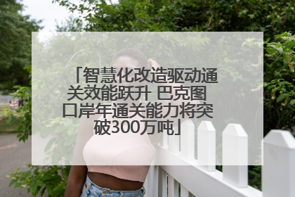 智慧化改造驱动通关效能跃升 巴克图口岸年通关能力将突破300万吨